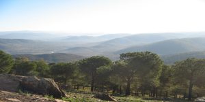 La Sierra de Azuaga 